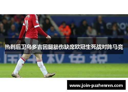 热刺后卫乌多吉因腿筋伤缺席欧冠生死战对阵马竞